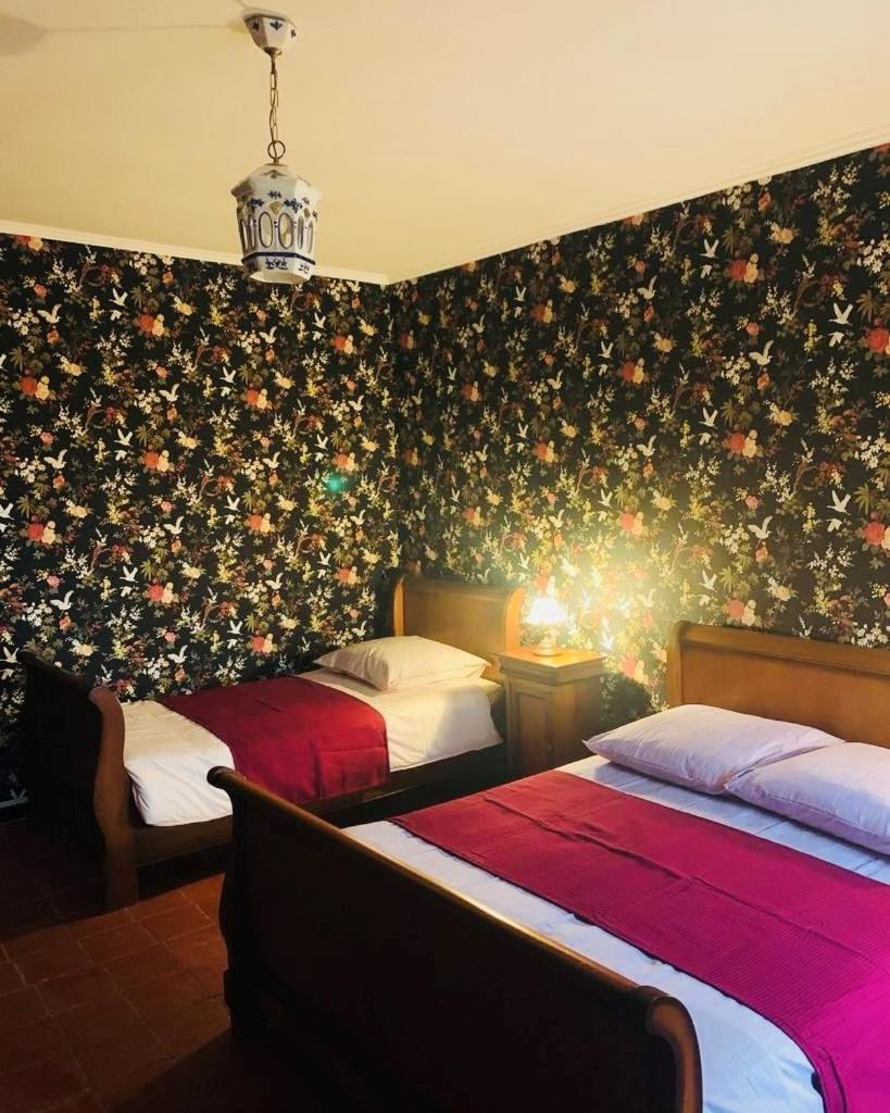 Bed and Breakfast La Babayaga Capestang Zewnętrze zdjęcie